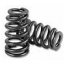 Kelford Beehive Valve Springs Set - EVO X