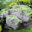 Mitsubishi OEM EVO X SST Transmission - 2008-2010