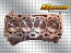 SpeedCircuit Forged 4B11T Engine - EVO X